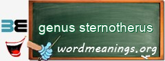 WordMeaning blackboard for genus sternotherus